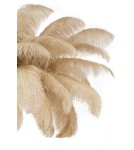Designer floor lamps - King Home TIFFANY 175 floor lamp beige brass / natural feathers (MSE1501100418) - product 6
