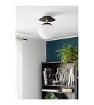 Bathroom wall lamps - UMMO PLAAT C black wall lamp / wall sconce with brass with increased IP44 waterproofing PLC123S0 - product 2