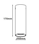 Ceiling luminaires for replaceable light source - Light Prestige Manacor eyelet black with white ring 17 cm GU10 black LP-232/1D - 170 BK/WH - product 2