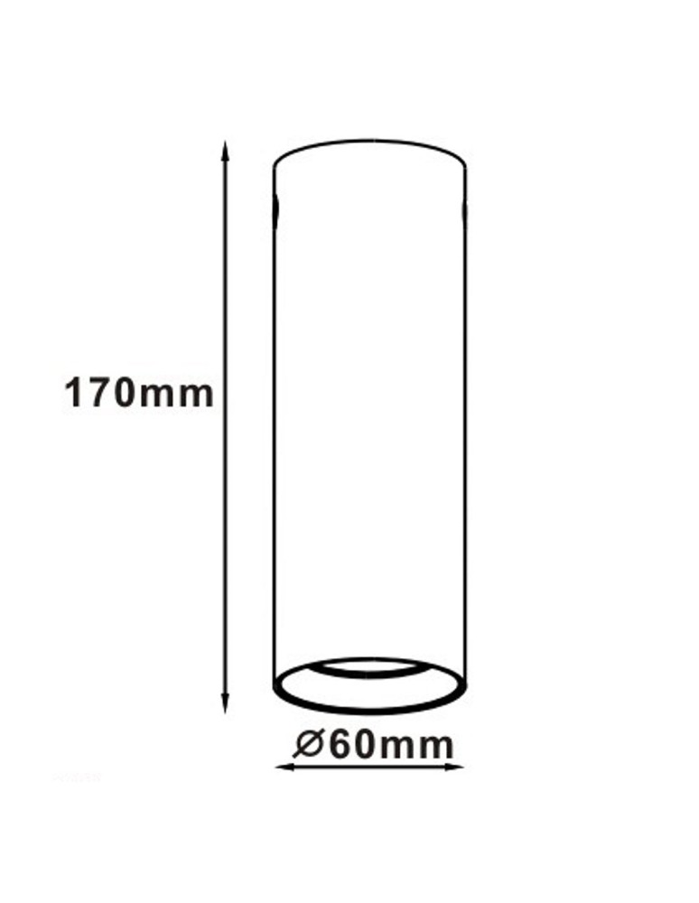 Ceiling luminaires for replaceable light source - Light Prestige Manacor eyelet black with white ring 17 cm GU10 black LP-232/1D - 170 BK/WH - product kolory-swiatla.pl 2