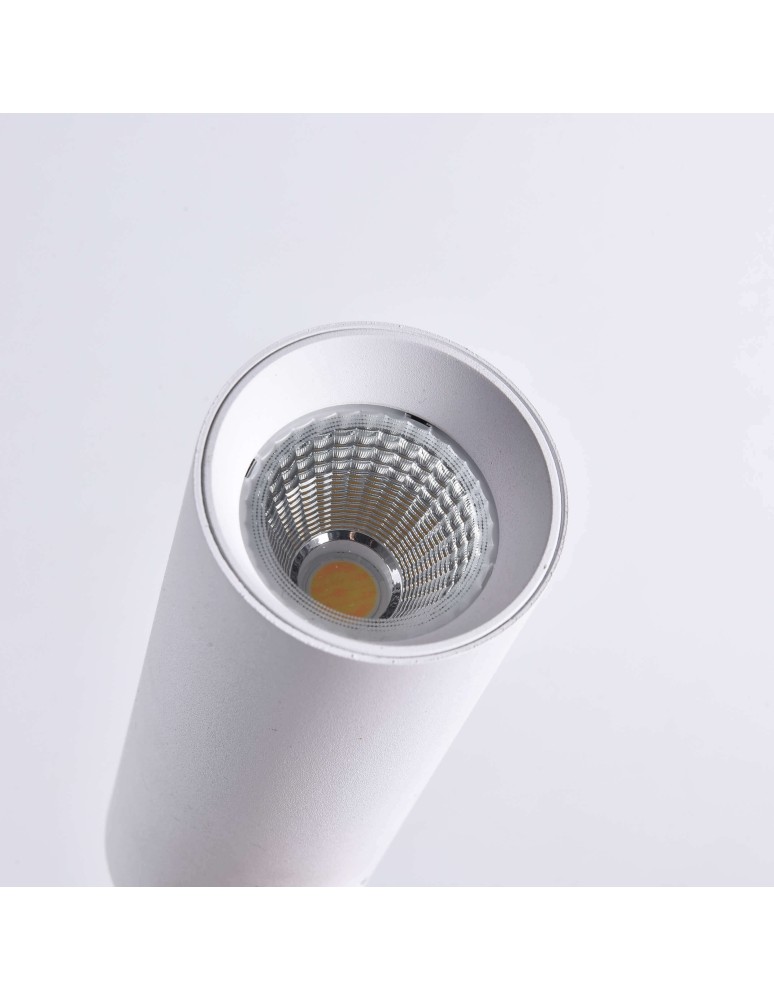Lamps for 3-phase busbars - Light Prestige Magnum spotlight for busbar 3F LED 1x20W white LP-8120/3F WH - product kolory-swiatla.pl 12