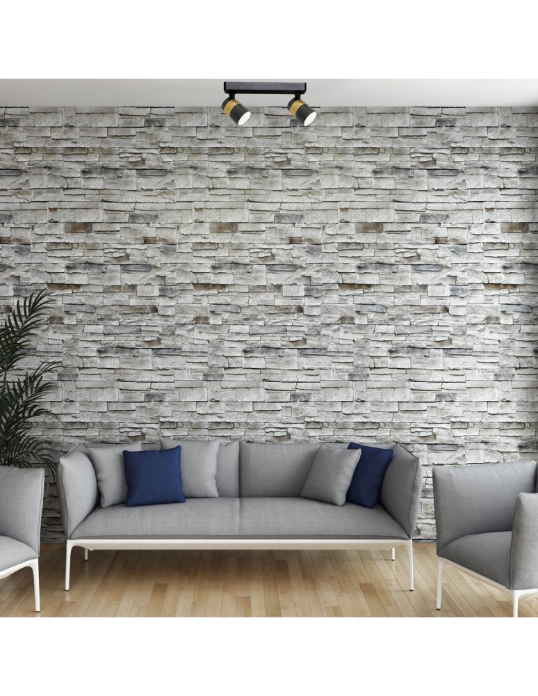 Spotlight ceiling lamps - Light Prestige Spot Anillo 2xGU10 black LP-770/2W BK - product kolory-swiatla.pl 2