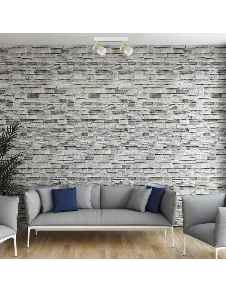 Spotlight ceiling lamps - Light Prestige Spot Anillo 2xGU10 white LP-770/2W WH - product kolory-swiatla.pl 2