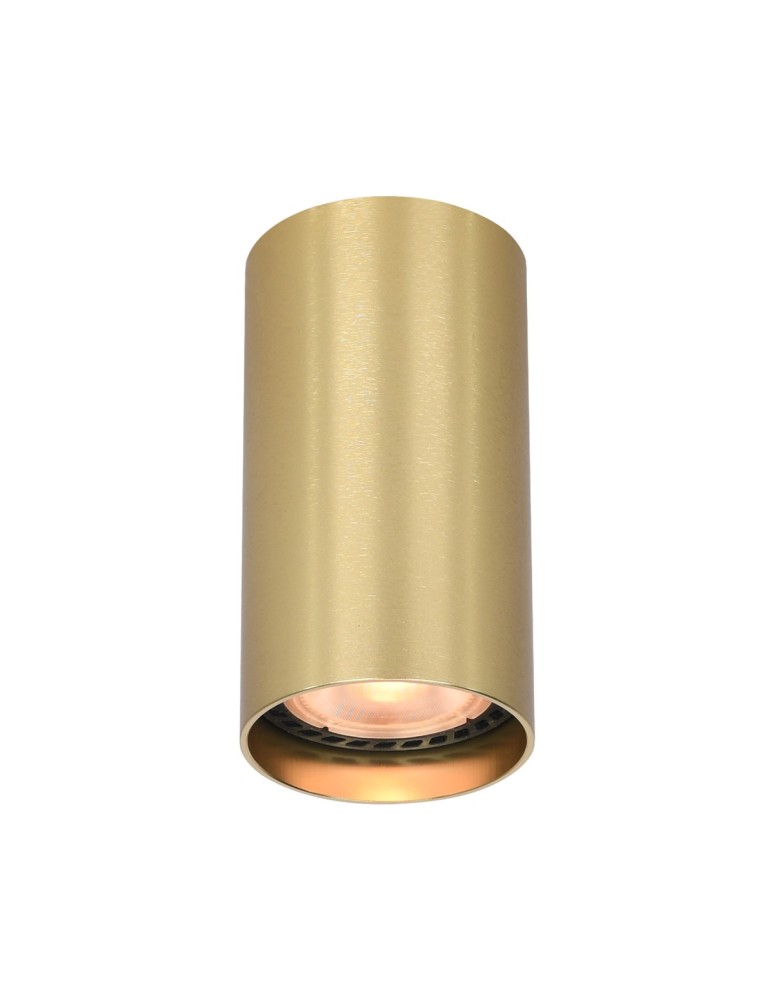 Round ceiling luminaires - Italux Lopus Surface Mounted 1xGU10 10W Gold CLN-48930-S-GD - product kolory-swiatla.pl 1