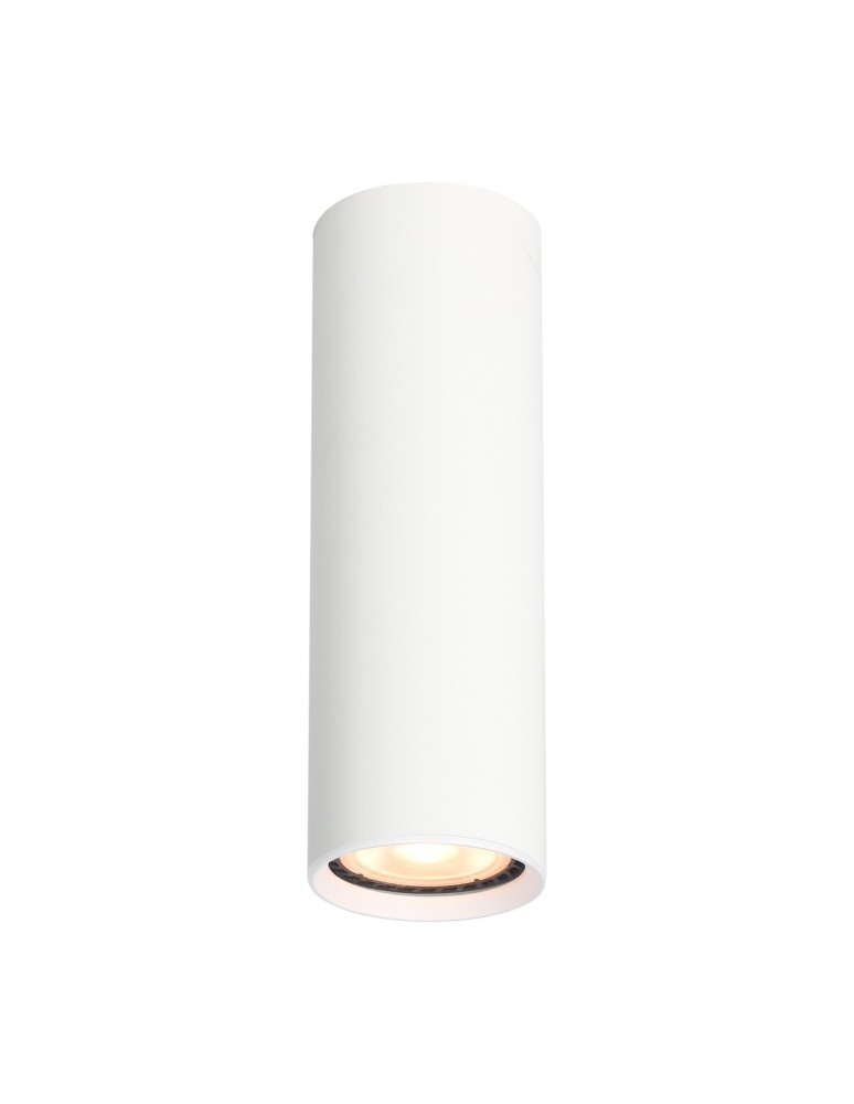 Round ceiling luminaires - Italux Lopus Surface-mounted 1xGU10 10W White Sandblasted CLN-48930-M-WH - product kolory-swiatla.pl 1