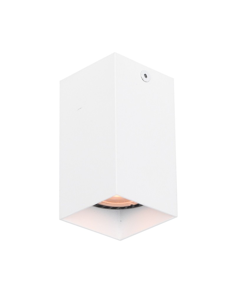 Tube lamps - Italux Ander Surface-mounted 1xGU10 10W White Sandblasted CLN-28394-S-WH - product kolory-swiatla.pl 1