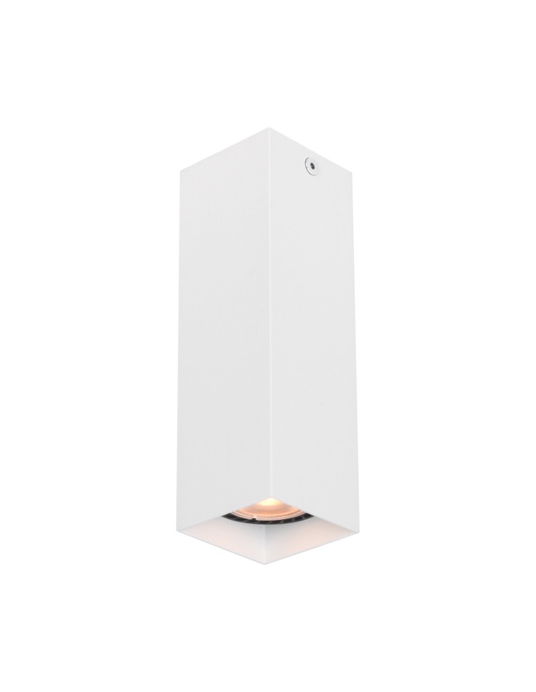 Square ceiling luminaires - Italux Ander Surface-mounted 1xGU10 10W White Sandblasted CLN-28394-M-WH - product kolory-swiatla.pl 1