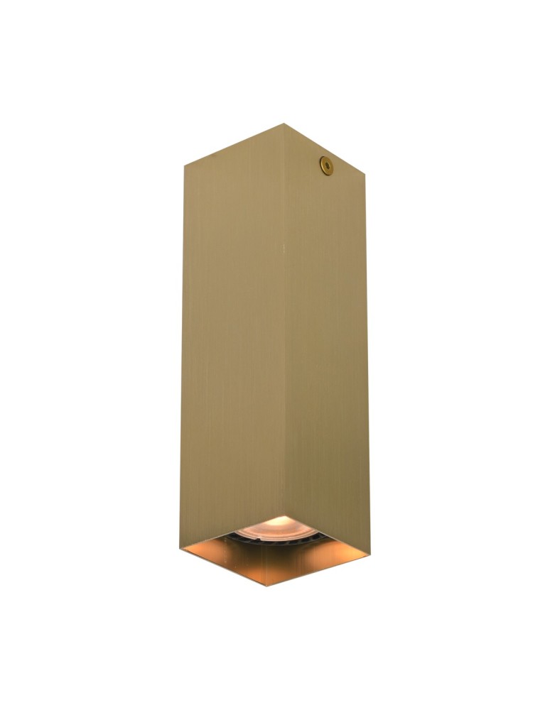 Square ceiling luminaires - Italux Ander Surface-mounted 1xGU10 10W Black, Brass CLN-28394-M-GD - product kolory-swiatla.pl 1