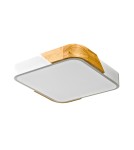 LED Plafonds - Italux Santer Surface-mounted 1xLED 24W 2400 lm 3000K (Warm White) Wood, white PLF-13187-WH-WO - product 1