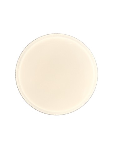 Italux Borla LED Plafond 48W 3360 lm 4000K (Neutral White) White PLF-63748-XL-CL