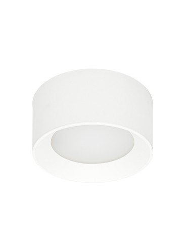 Italux Sirius Surface-mounted White IP44 1xLED 13W 3000K+4000K WG-606A/WK-WW/MULTI