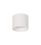 Round ceiling luminaires - Light Prestige Kendal surface-mounted luminaire 1 x GX53 white LP-6331/1SM L WH - product 3
