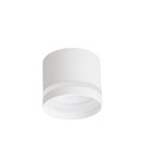 Round ceiling luminaires - Light Prestige Kendal surface-mounted luminaire 1 x GX53 white LP-6331/1SM R1 WH - product 3