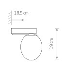 Bathroom wall lamps - Nowodvorski ICE EGG C Wall Wall lamp Max wattage 25W G9 IP44 Black 8132 - product 2