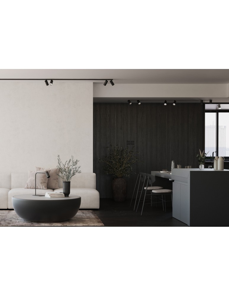 Spotlight ceiling lamps - Nowodvorski MONO 2x200 Reflector/Spot Max power 10W only LED GU10 Black 7722 - product kolory-swiatla.pl 5