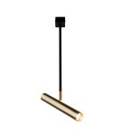 Spotlight ceiling lamps - Amplex Spotlight Akadi R2 - Polished Brass-Black 8879 - product 1