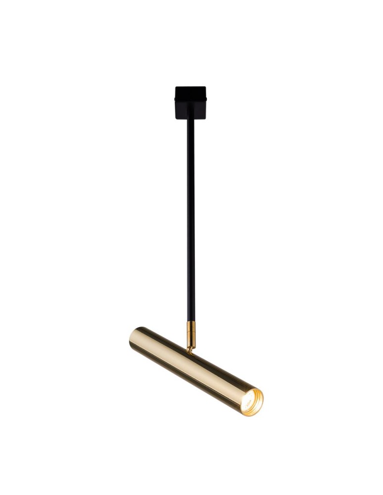 Spotlight ceiling lamps - Amplex Spotlight Akadi R2 - Polished Brass-Black 8879 - product kolory-swiatla.pl 1