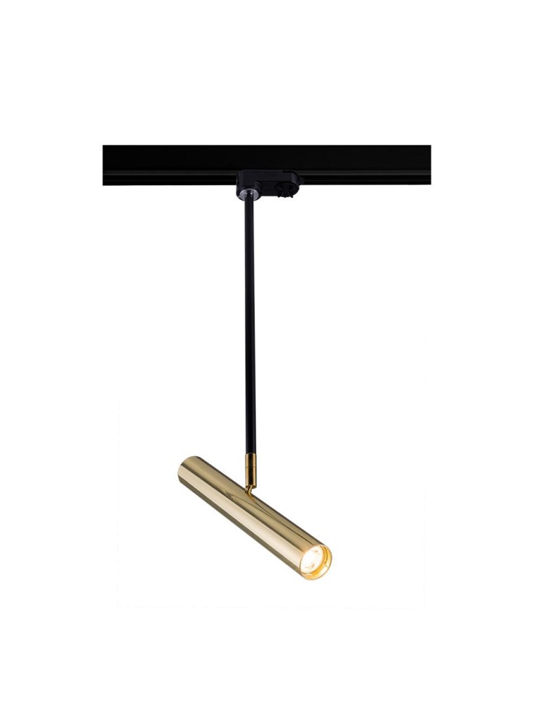 Track lighting - Amplex Spot Akadi T R2 - Polished brass-black - 3F 230V busbar 8881 - product kolory-swiatla.pl 1