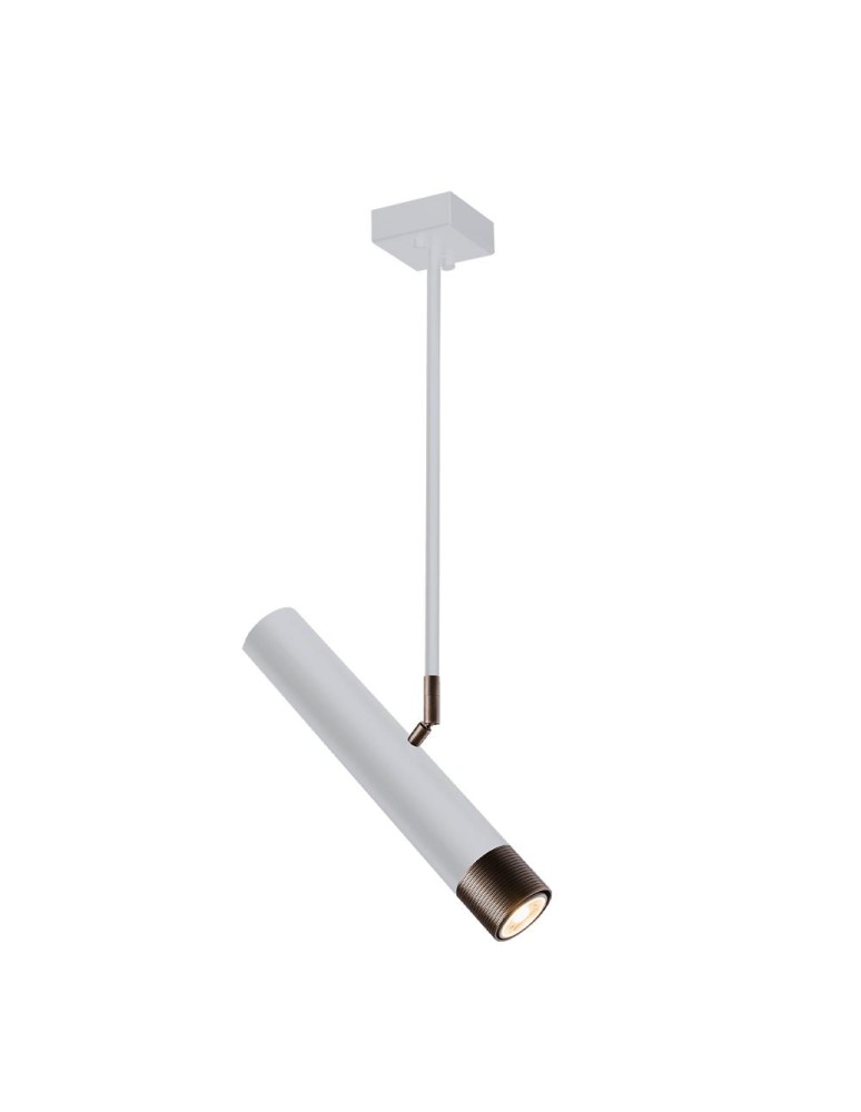 Spotlight ceiling lamps - Amplex Eido spotlight - White-patina matt 8267 - product kolory-swiatla.pl 1