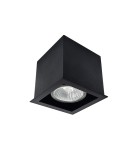 Square ceiling luminaires - Brosline Plafond Cage out mini 1-1 - Black (70 mm) 1078 - product 1