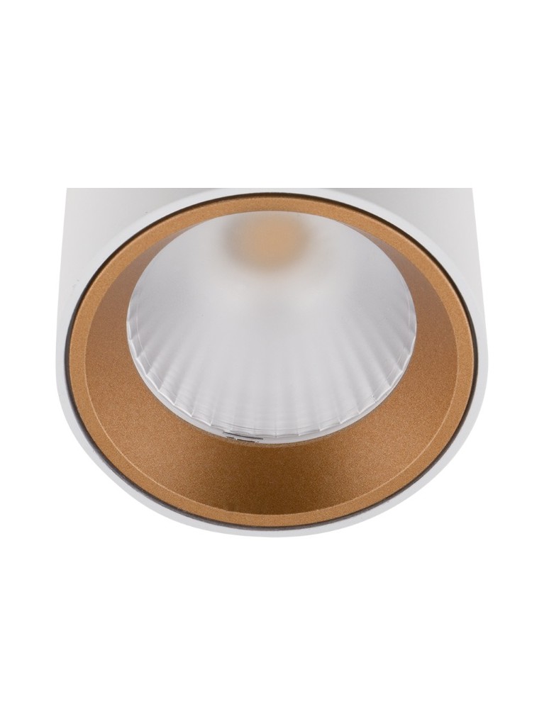 Rings - Maxlight Gold Decorative Ring for Tubes RC0155/C0156 GOLD. - product kolory-swiatla.pl 1