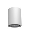 Brosline Plafond Point H 80 move - White (100 mm) 1259