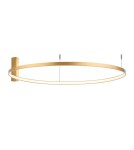 Ring ceiling lamps - Shilo Plafon Agari 117 - Gold (1170 mm) 4000K 1355 - product 1