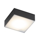 Bathroom ceiling lamps - Shilo Plafond Tottori IL - Black IP44 (100x100 mm) 4000K 8577 - product 1
