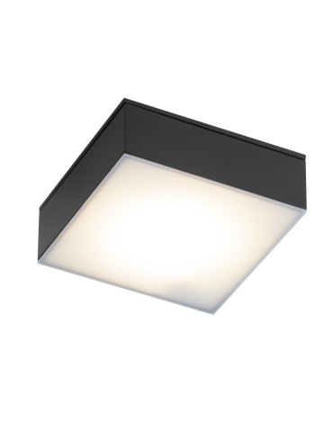 Shilo Plafond Tottori IL - Black IP44 (100x100 mm) 4000K 8577