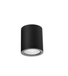 Outdoor ceiling lamps - Azzardo CONYON IP54 15W CCT SWITCH BK Black Matte/Transparent 1xLED Surface-mounted Lamp with Light Color Change Switch AZ6027 - product 1