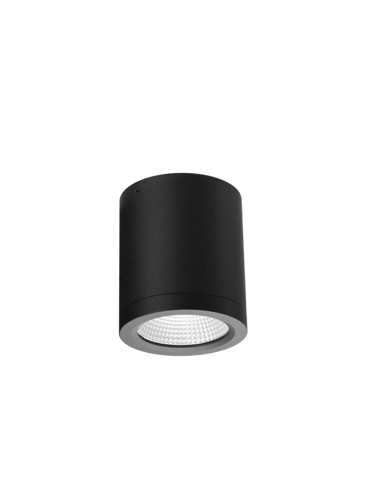 Outdoor ceiling lamps - Azzardo CONYON IP54 15W CCT SWITCH BK Black Matte/Transparent 1xLED Surface-mounted Lamp with Light Color Change Switch AZ6027 - product kolory-swiatla.pl 1