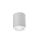 Outdoor ceiling lamps - Azzardo CONYON IP54 15W CCT SWITCH WH White/Transparent 1xLED Surface Mounted Light Switch Lamp AZ6028 - product 1