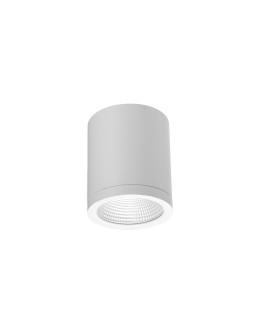 Azzardo CONYON IP54 15W CCT SWITCH WH Biały/Transparentny 1xLED Lampa Natynkowa Przełącznik Zmiany Barwy Światła AZ6028