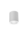 Azzardo CONYON IP54 15W CCT SWITCH WH Biały/Transparentny 1xLED Lampa Natynkowa Przełącznik Zmiany Barwy Światła AZ6028
