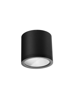 Azzardo CONYON IP54 25W CCT SWITCH BK Black Matte/Transparent 1xLED Surface Mounted Light Switch AZ6029.