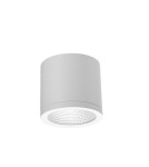 Outdoor ceiling lamps - Azzardo CONYON IP54 25W CCT SWITCH WH White/Transparent 1xLED Surface Mounted Light Switch AZ6030. - product 1