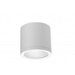 Azzardo CONYON IP54 25W CCT SWITCH WH Biały/Transparentny 1xLED Lampa Natynkowa Przełącznik Zmiany Barwy Światła AZ6030