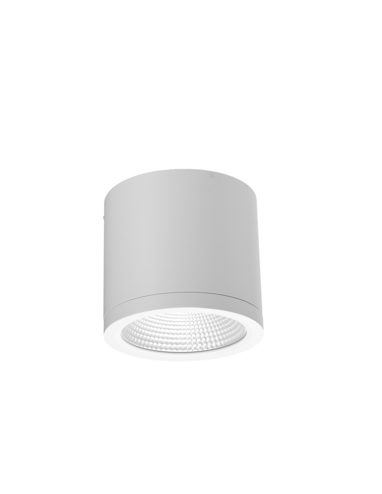 Outdoor ceiling lamps - Azzardo CONYON IP54 25W CCT SWITCH WH White/Transparent 1xLED Surface Mounted Light Switch AZ6030. - product kolory-swiatla.pl 1