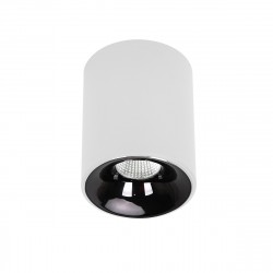 Light Prestige Oprawa natynkowa Tom biała LED CCT LP-4848/1RM WH