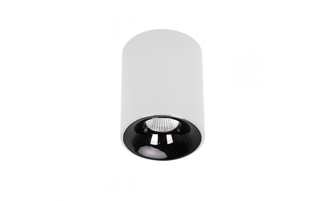 Light Prestige Oprawa natynkowa Tom biała LED CCT LP-4848/1RM WH