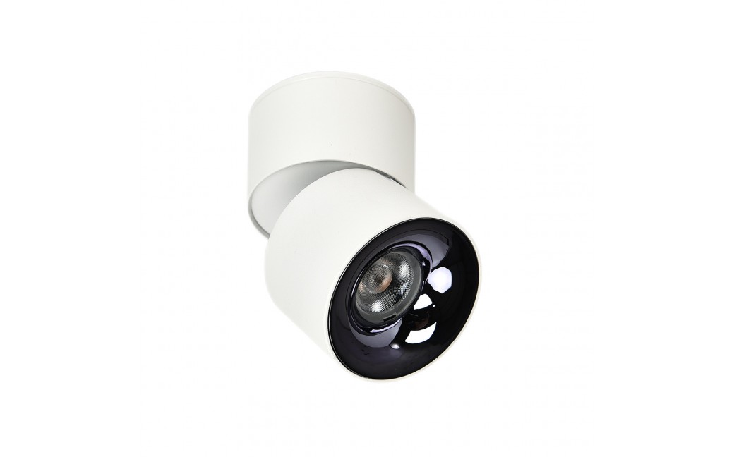 Light Prestige Ruchoma oprawa natynkowa Brema biała LED CCT LP-2626/1RM WH movable