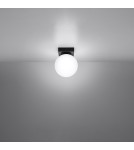 Single ceiling lamps - Sollux Plafond YOLI 1 black SL.1151 - product 3
