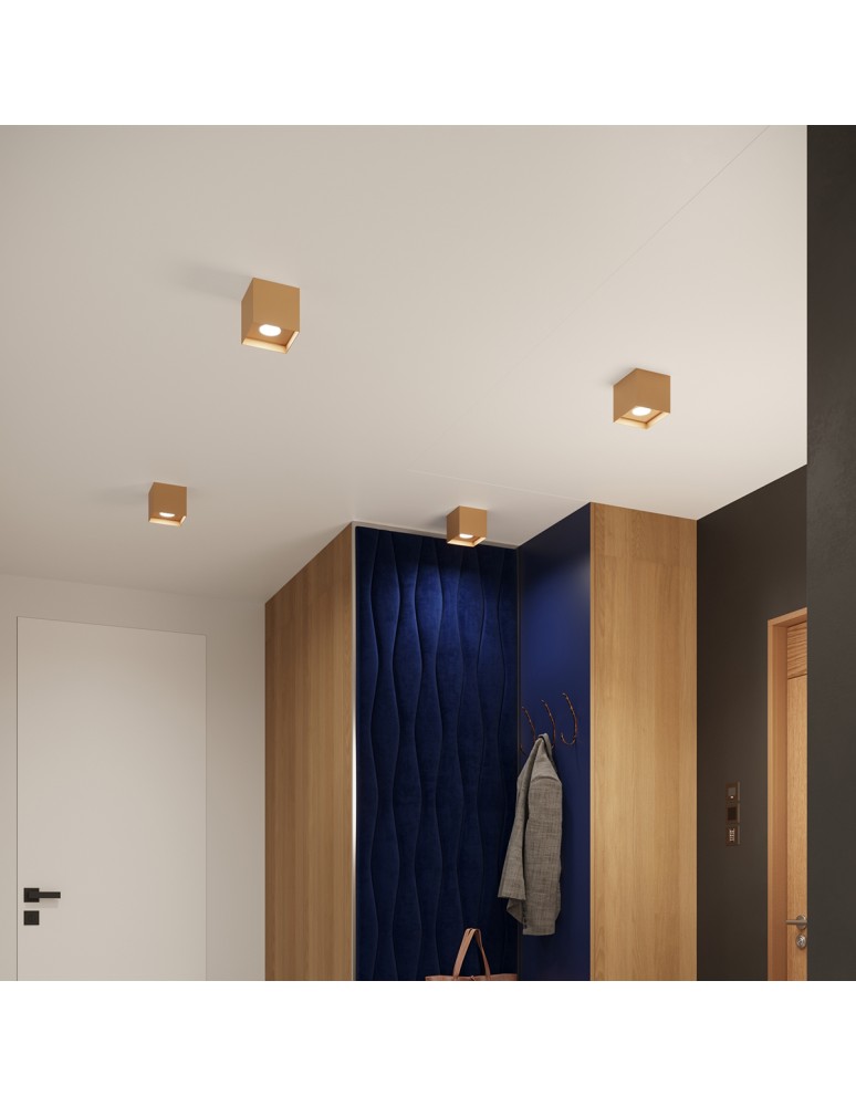 Square ceiling luminaires - Sollux Plafond HATI gold SL.1279 - product kolory-swiatla.pl 9