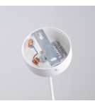 Pendant lamps - Sollux NICUS 1 pendant lamp white SL.1360 - product 4