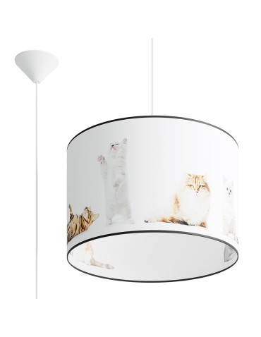 Sollux KITTY 40 pendant lamp SL.1421