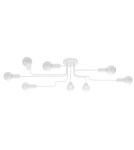 Ceiling lamps - Sollux Chandelier VECTOR 8 white SL.1444 - product 1