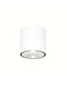 Maytoni Spin Zewnętrzna Lampa Sufitowa LED 650lm 3000K Biały O310CL-L7W3K