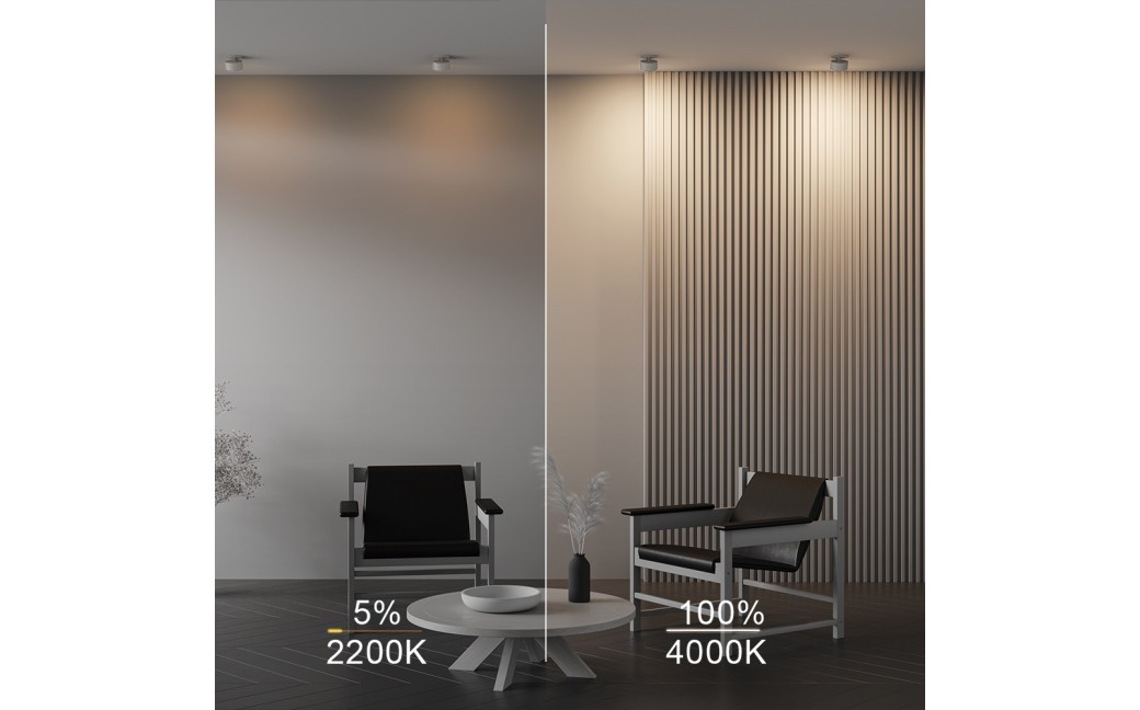 Maytoni Onda Lampa wbudowana podtynkowa LED 800lm 2200K-4000K Biały DL024-12W-DTW-W
