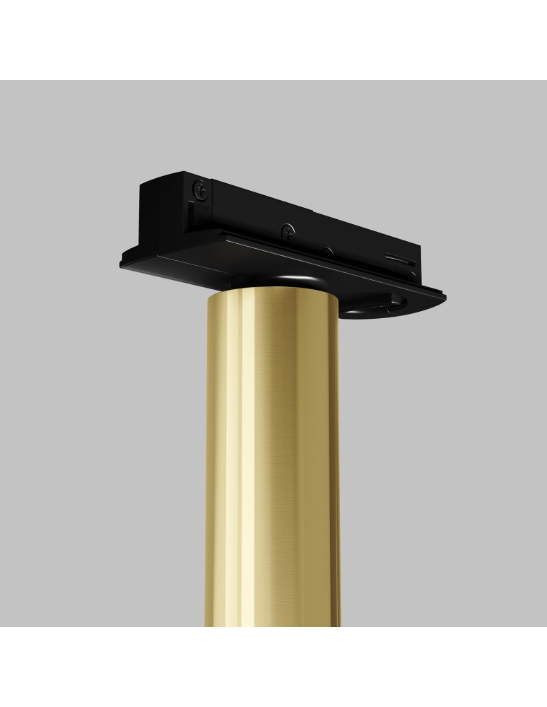 Lamps for 1 phase busbars - Maytoni Focus Dual Spotlight for UNITY 1-circuit LED bus 440lm 3000K Brass TR142-1-6W3K-BS - product kolory-swiatla.pl 4
