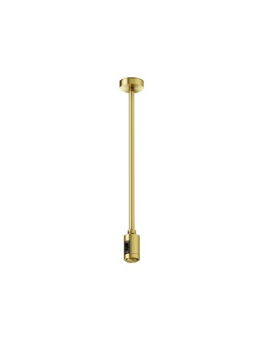 Maytoni Ceiling Mount Medium Single 300 mm Flarity LED Brass TRA158C-S1-BS